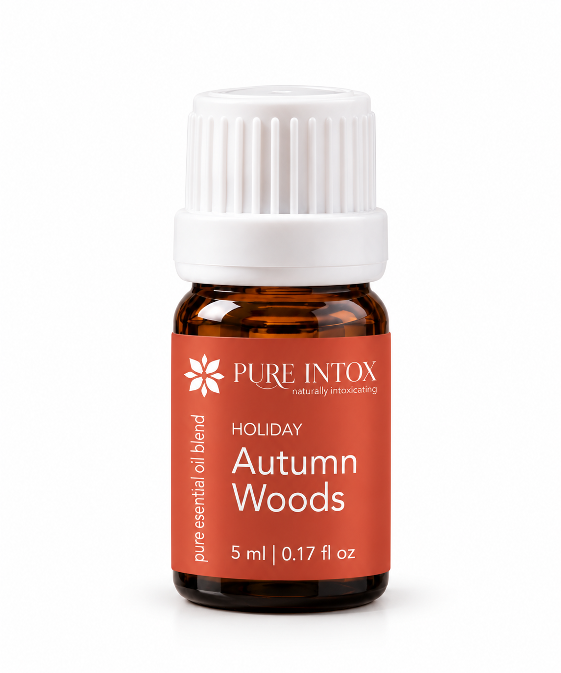 Autumn Woods