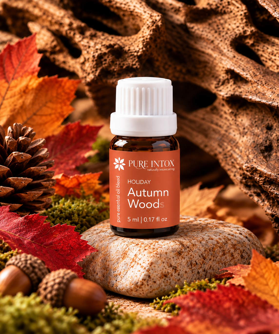 Autumn Woods