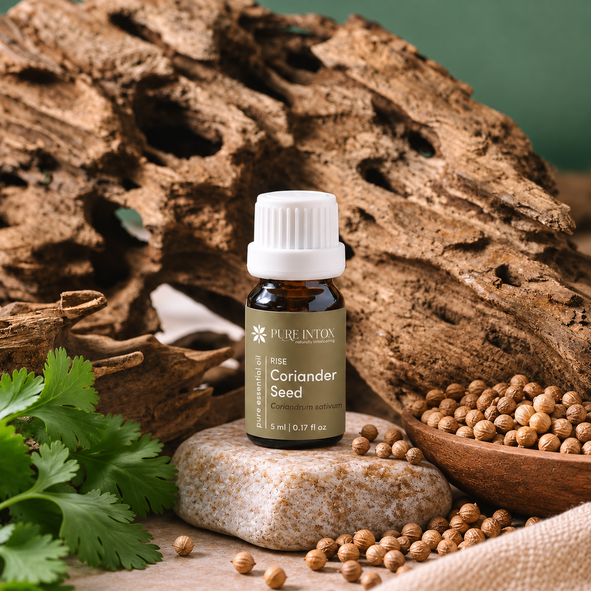 Coriander Seed Essential Oil