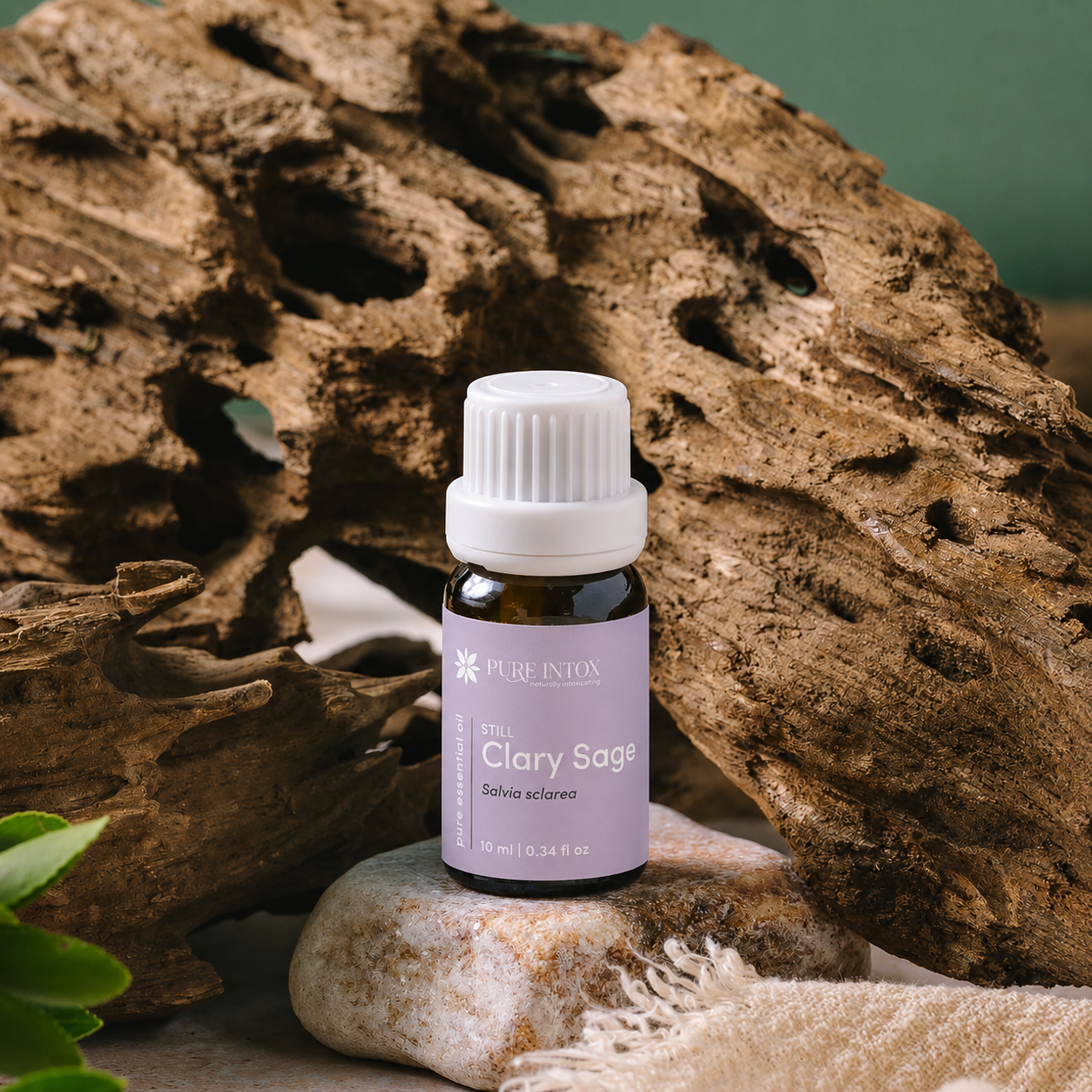 Clary Sage
