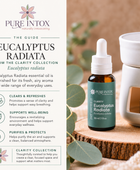 Eucalyptus Radiata Essential Oil