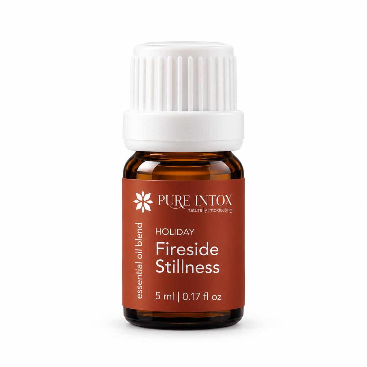 Fireside Stillness