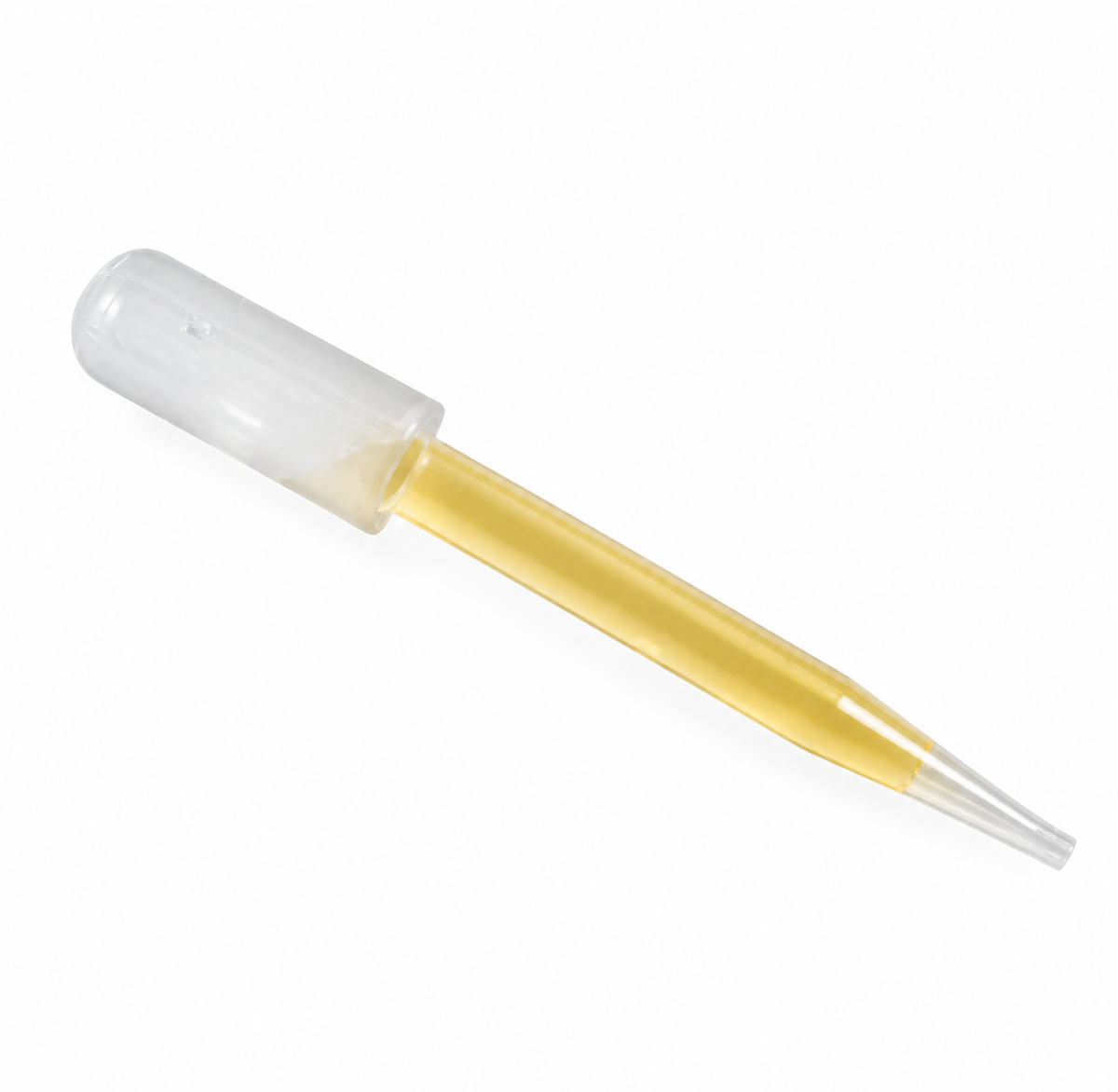 Transfer Pipettes, 3 Pack