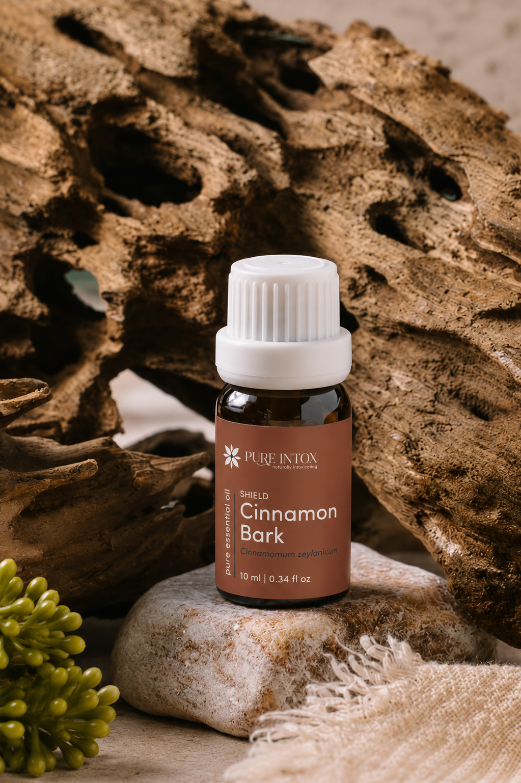 Cinnamon Bark