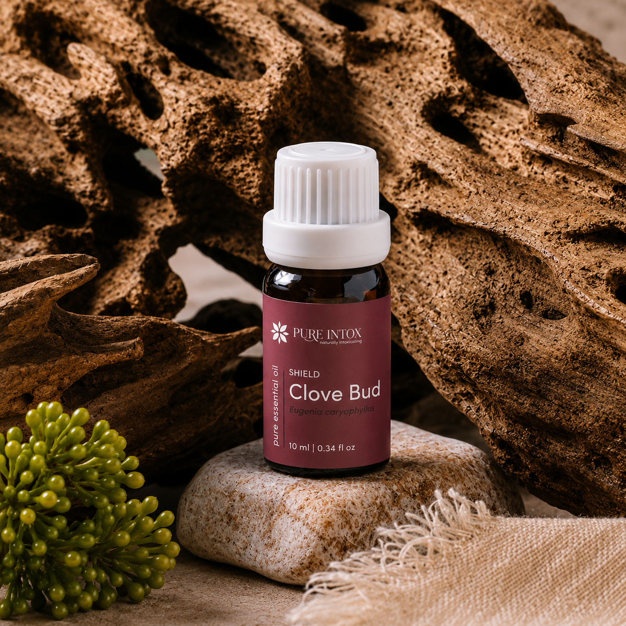 Clove Bud