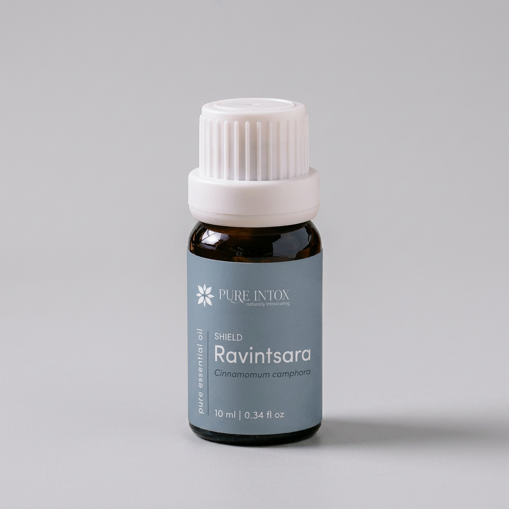 Bottle of Pure Intox Ravintsara essential oil against a natural stone and plant background