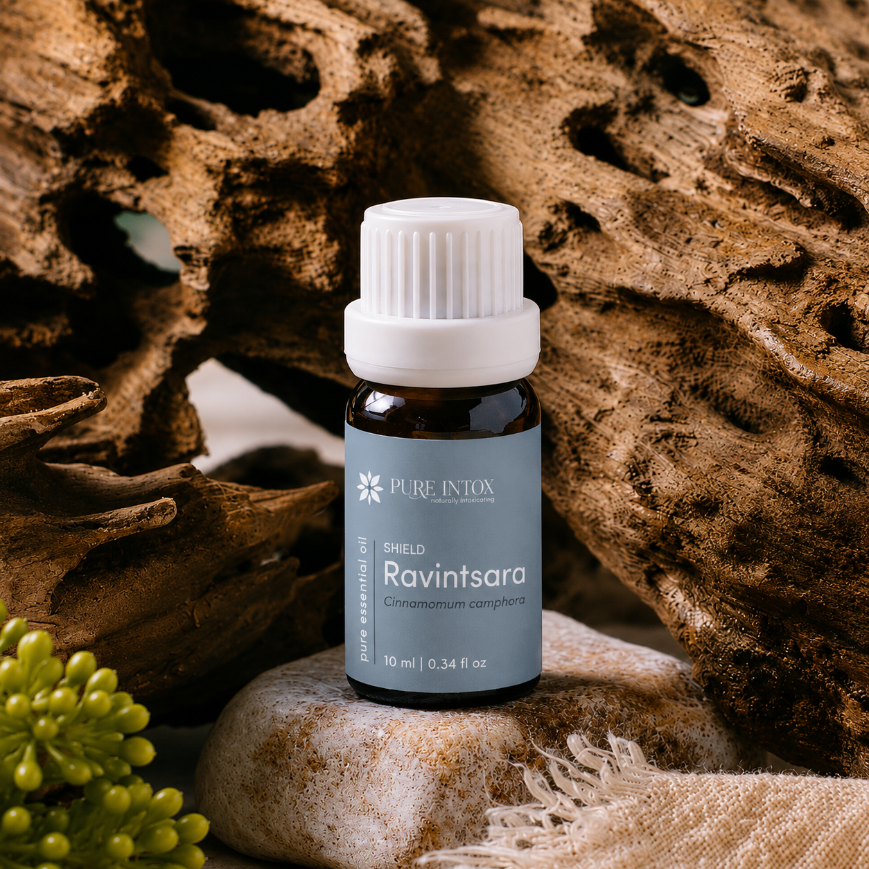 Ravintsara