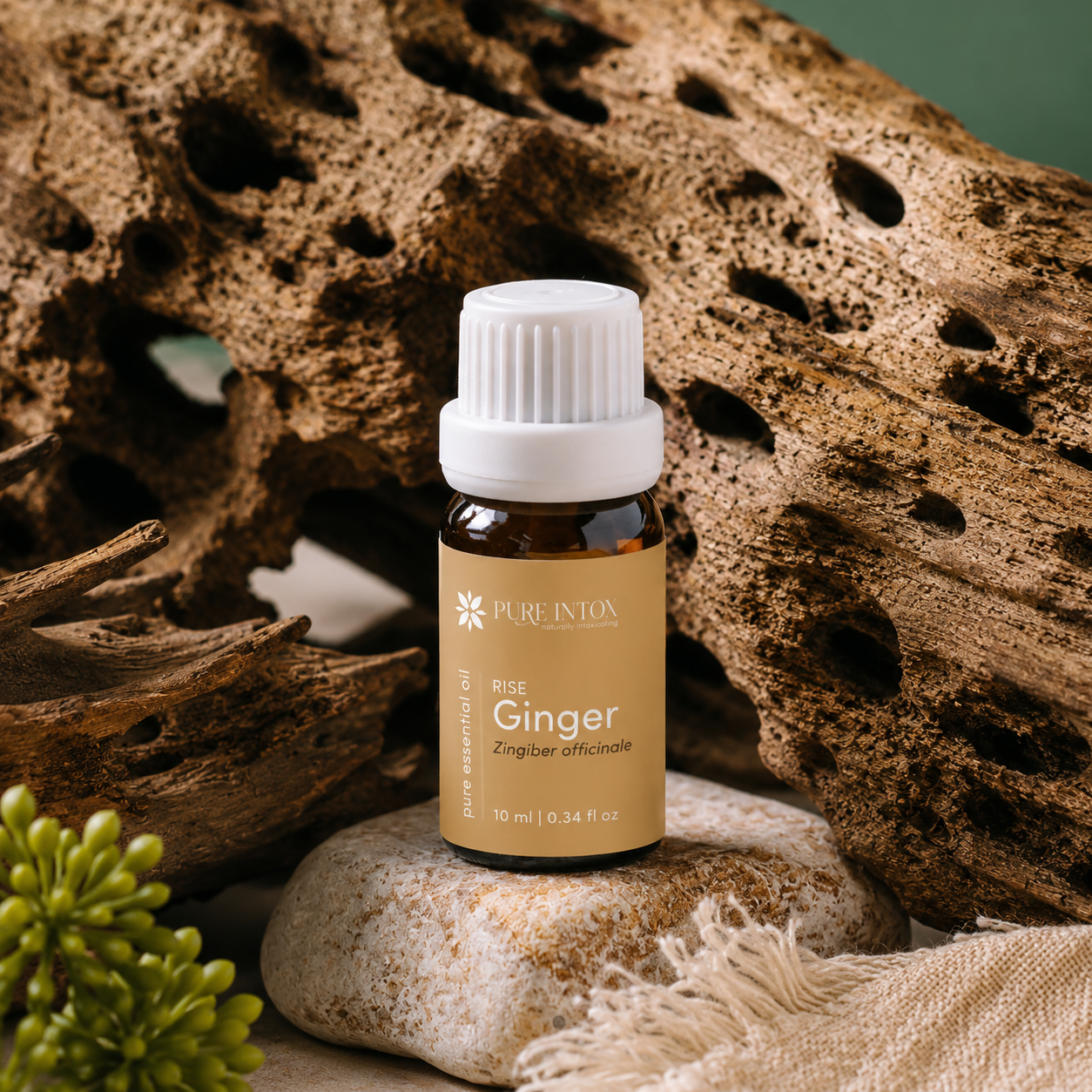 Ginger