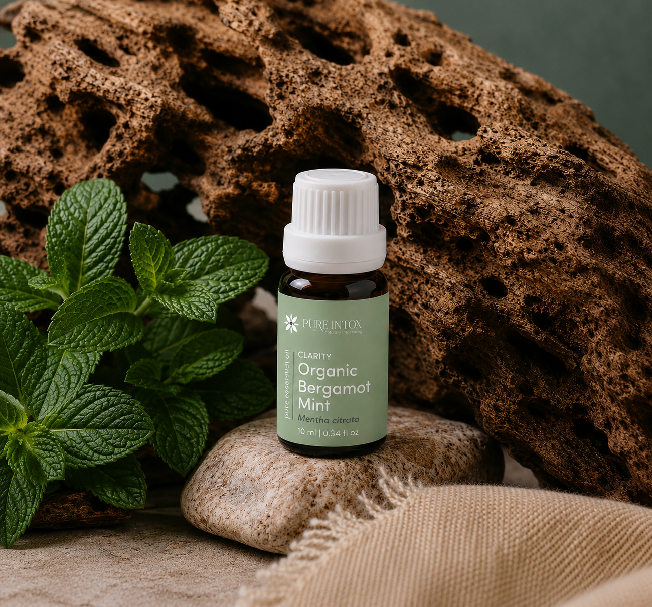 Organic Bergamot Mint