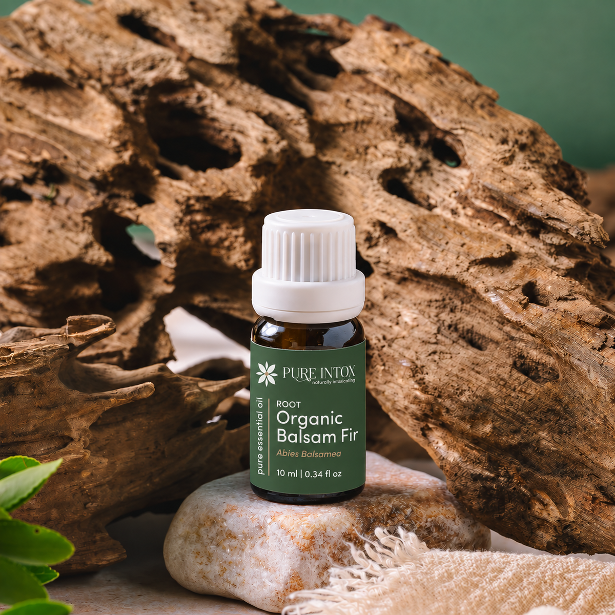 A bottle of Pure Intox Organic Balsam Fir essential oil placed on a stone in front of large driftwood logs, with a soft green fabric background.