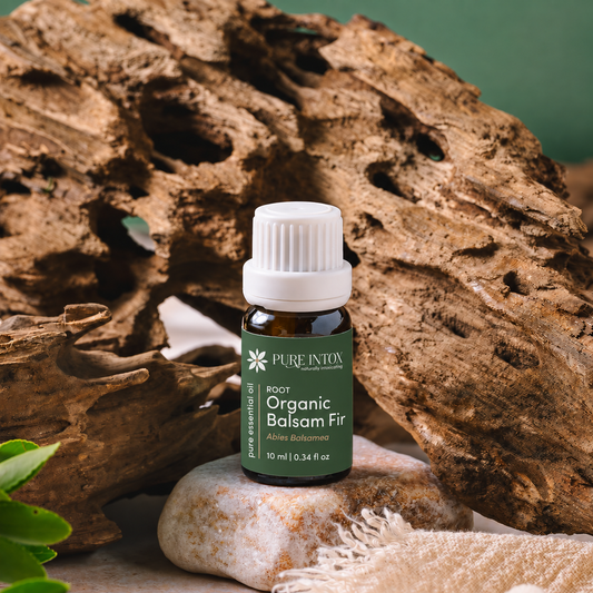 A bottle of Pure Intox Organic Balsam Fir essential oil placed on a stone in front of large driftwood logs, with a soft green fabric background.