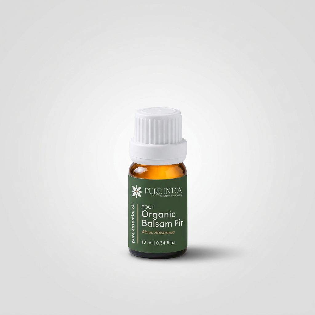 Balsam Fir Leaf, Organic