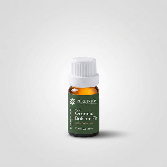 Balsam Fir Leaf, Organic