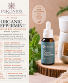 Peppermint, Organic Essential Oil