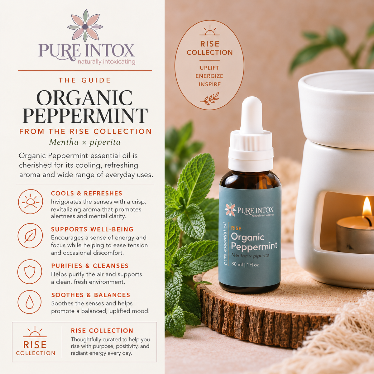 Peppermint, Organic Essential Oil
