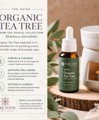 Tea Tree, Organic Essential Oil