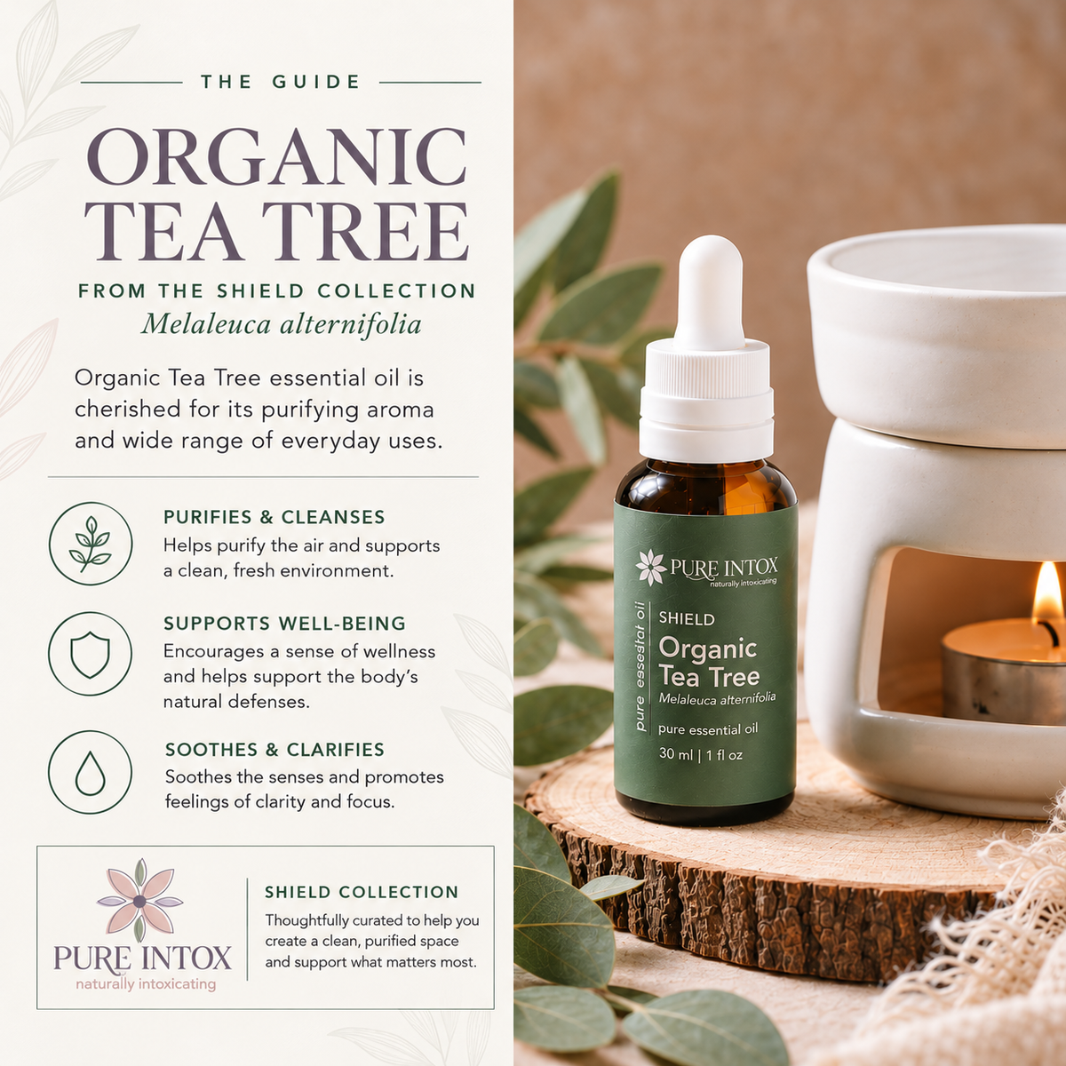 Tea Tree, Organic Essential Oil