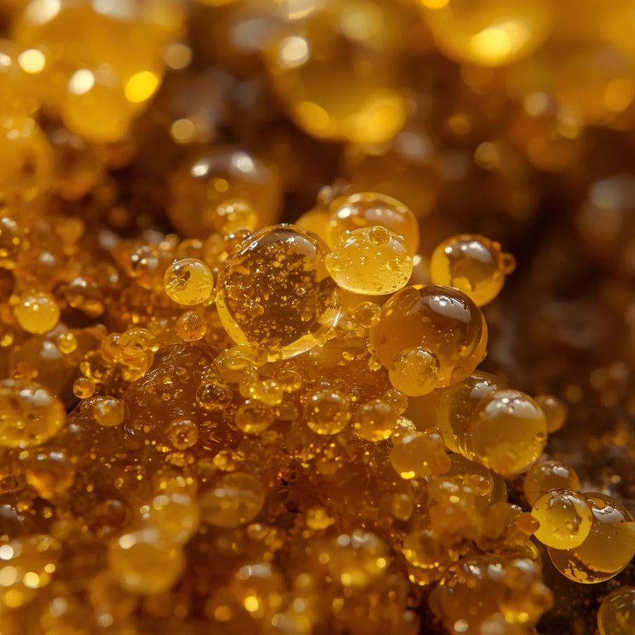 Copaiba Balsam Essential Oil
