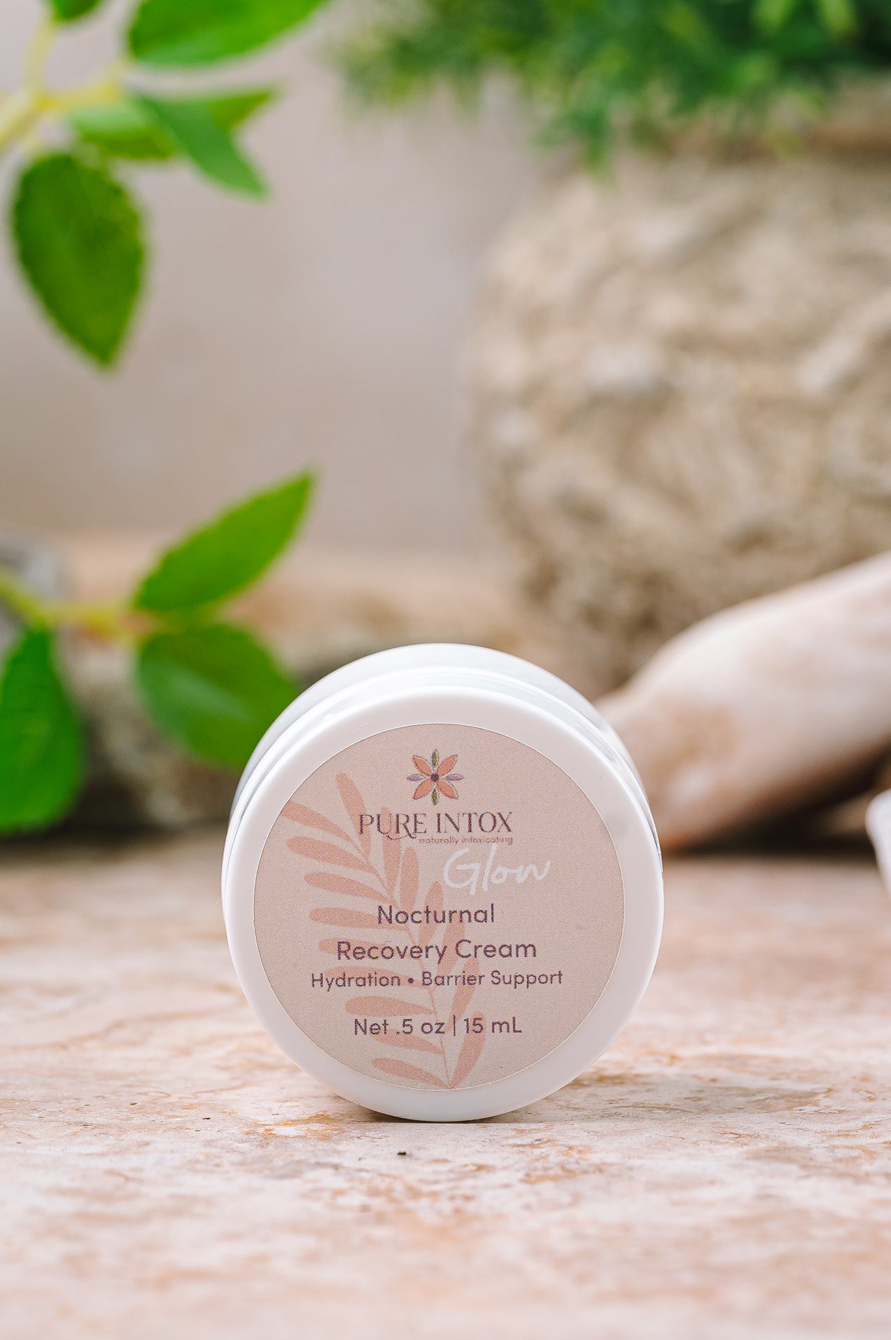 Nocturnal Recovery Cream