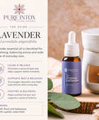 Lavender, Organic Essential Oil
