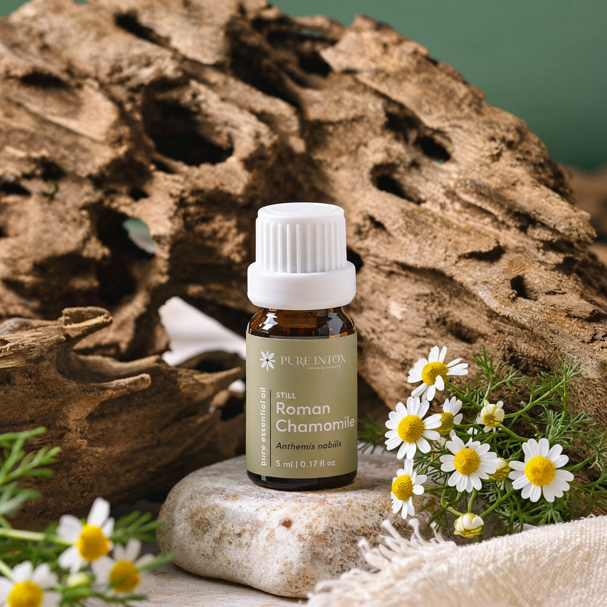 Chamomile Roman Essential Oil