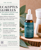 Eucalyptus Globulus Essential Oil