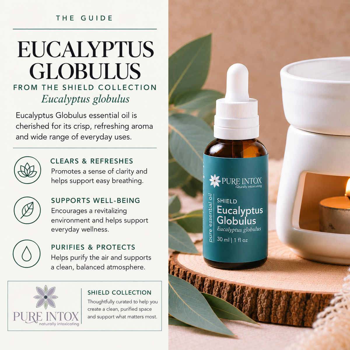 Eucalyptus Globulus Essential Oil