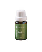 Basil Sweet Essential Oil