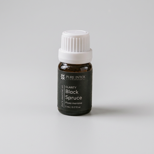 A small black glass bottle of Pure Intox Clarity Black Spruce essential oil with a white ribbed cap, styled on a stone with driftwood, pine needles, and burlap in an outdoor rustic setting.