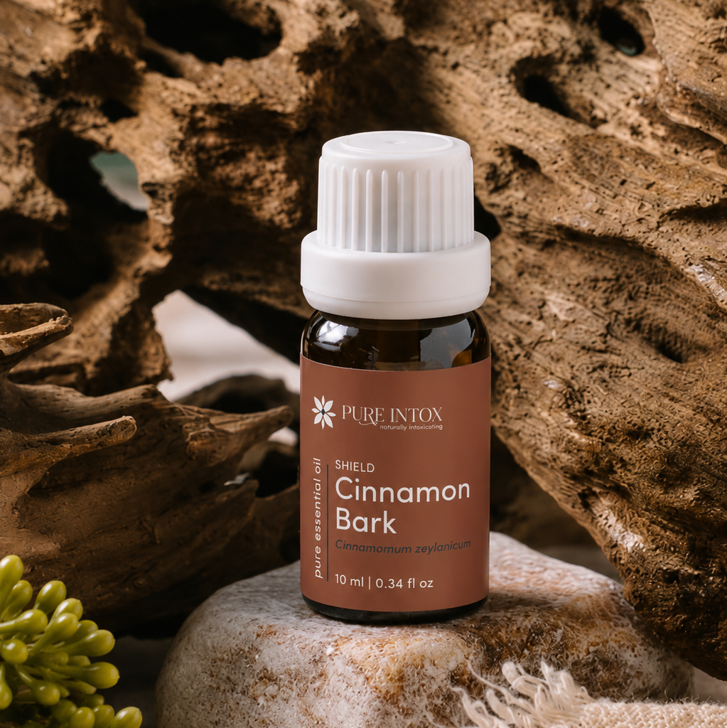 Cinnamon Bark Essential Oil