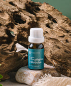 Eucalyptus Globulus