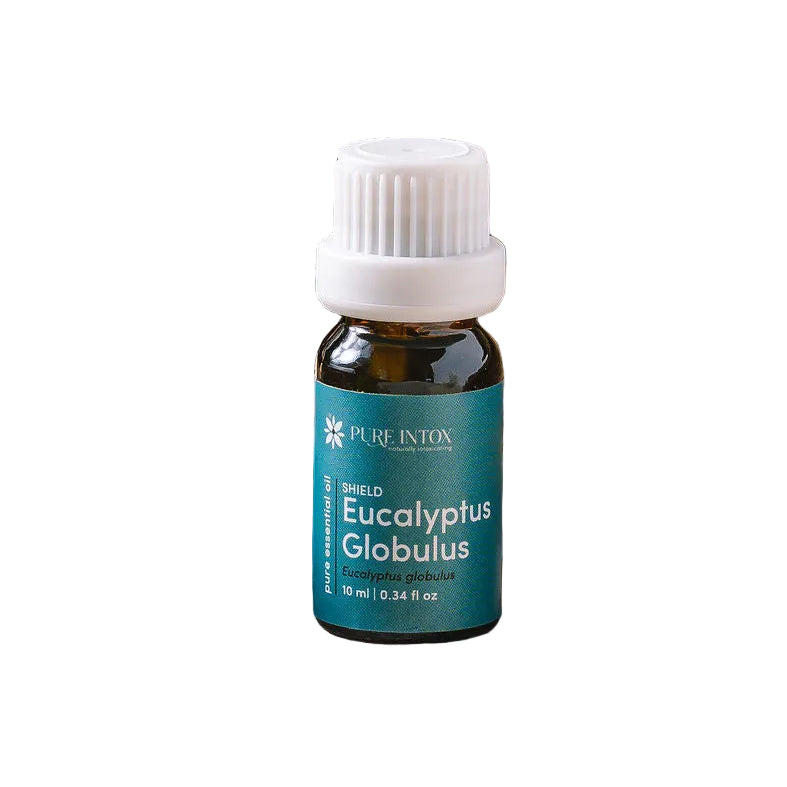 Eucalyptus Globulus Essential Oil