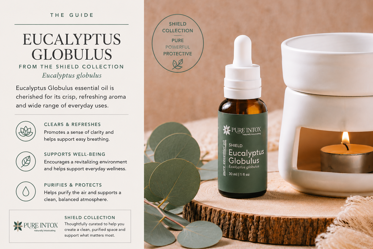 Eucalyptus Globulus