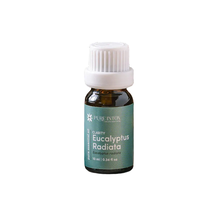Eucalyptus Radiata Essential Oil