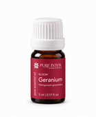 Geranium