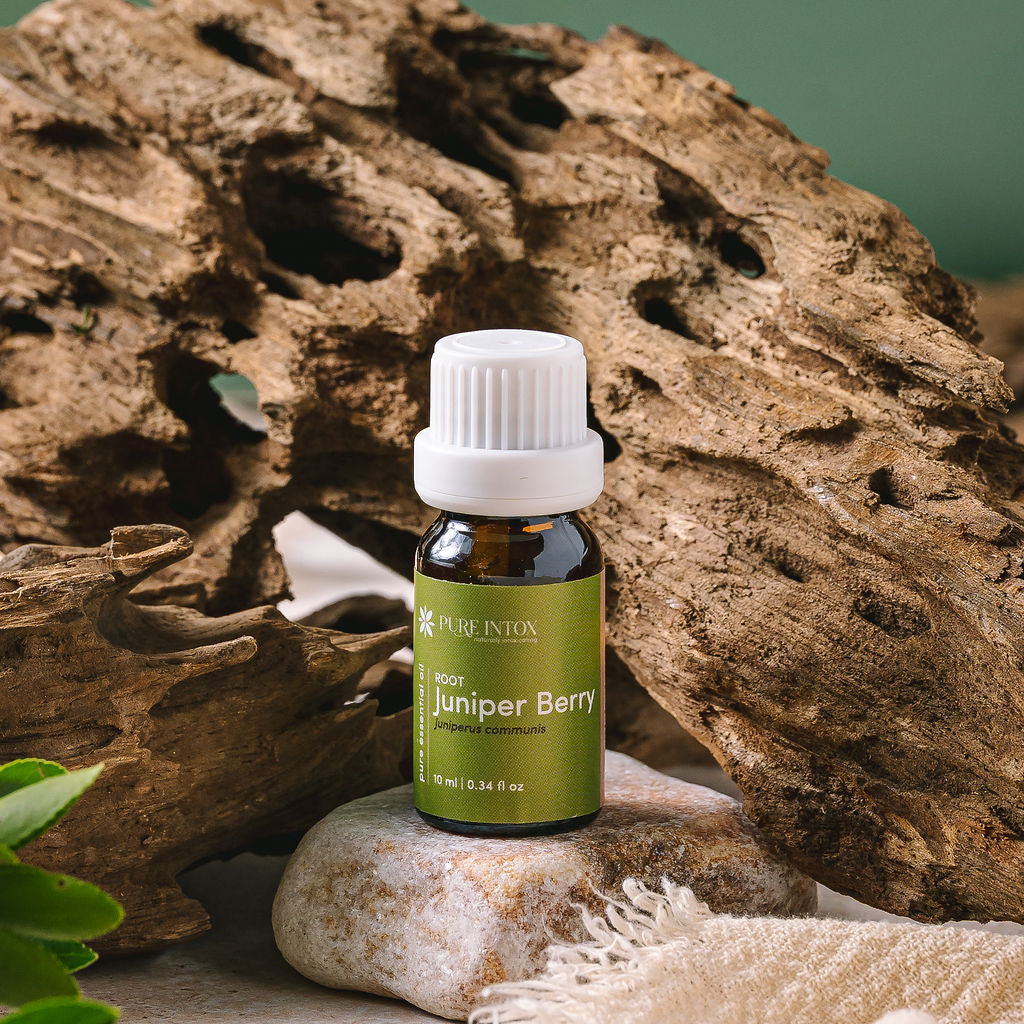 Juniper Berry