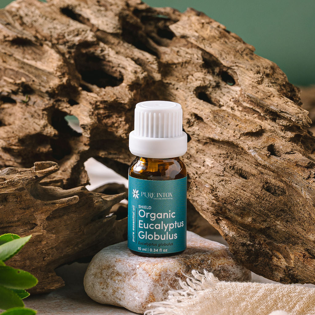Organic Eucalyptus Globulus