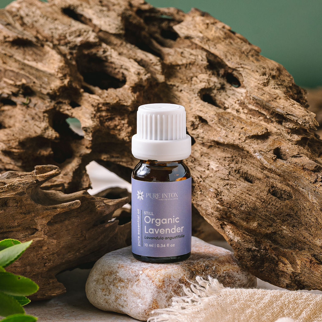 Organic Lavender