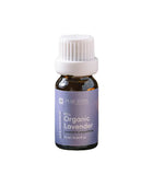 Lavender, Organic Essential Oil