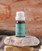 Vital Clarity