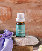 Vital Clarity