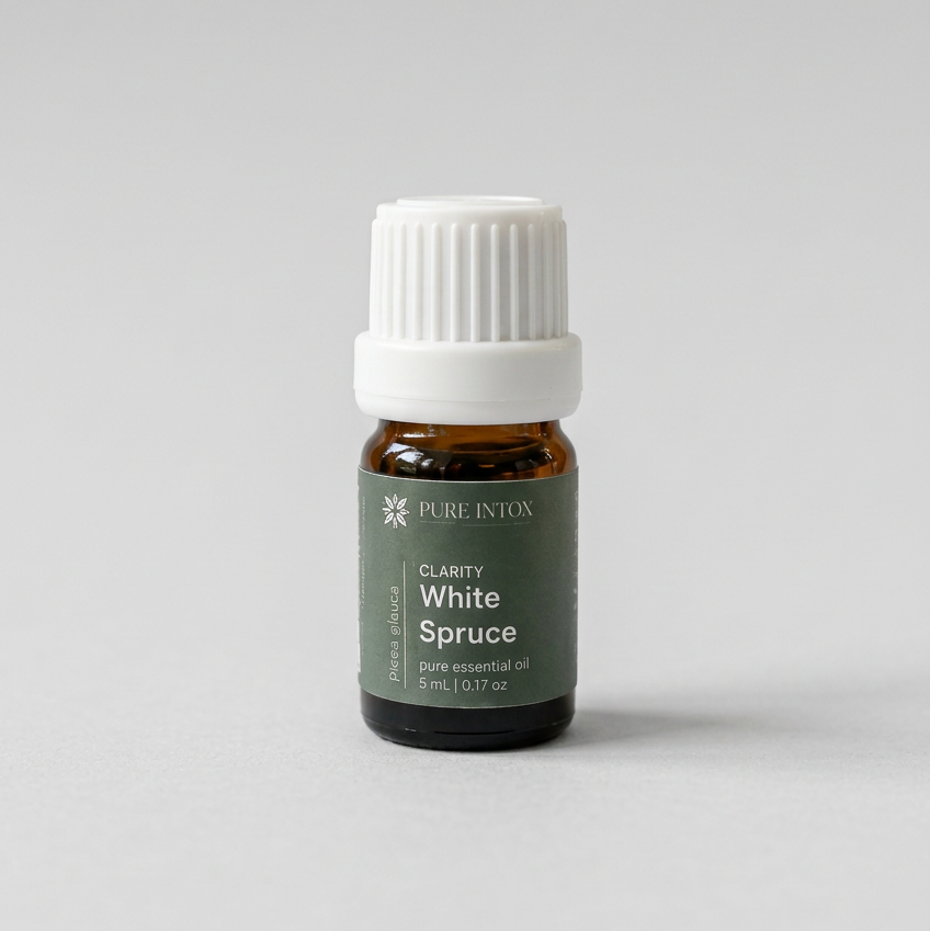 A bottle of Pure Intox Clarity White Spruce essential oil placed on a stone surrounded by pine branches and a pinecone in a natural outdoor setting.