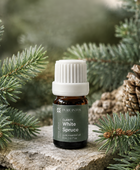 White Spruce, Organic Essential Oil